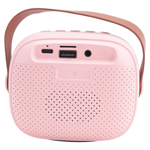 Kinderkaraokemachine Bluetooth-luidspreker met microfoons, roze