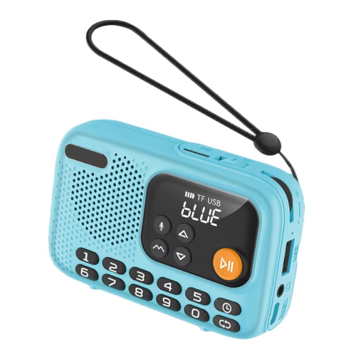 Radio FM portatile con altoparlante Bluetooth wireless e registratore B