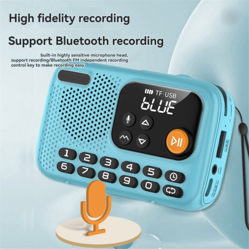 Radio FM portatile con altoparlante Bluetooth wireless e registratore B 2