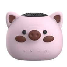 Mini Bluetooth Speaker with IP65 Waterproof