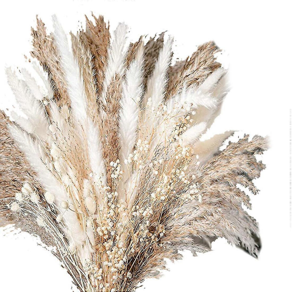 Kikidex (As Show, One Size) 100Pcs Natural Dried Pampas Grass Bouquet Dried Flower Compatible Wedding-G