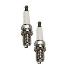 2 stuks bougie voor Champion RC12YC voor Briggs en Stratton OHV
