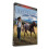 Heartland Seizoen 18 2DVD 1