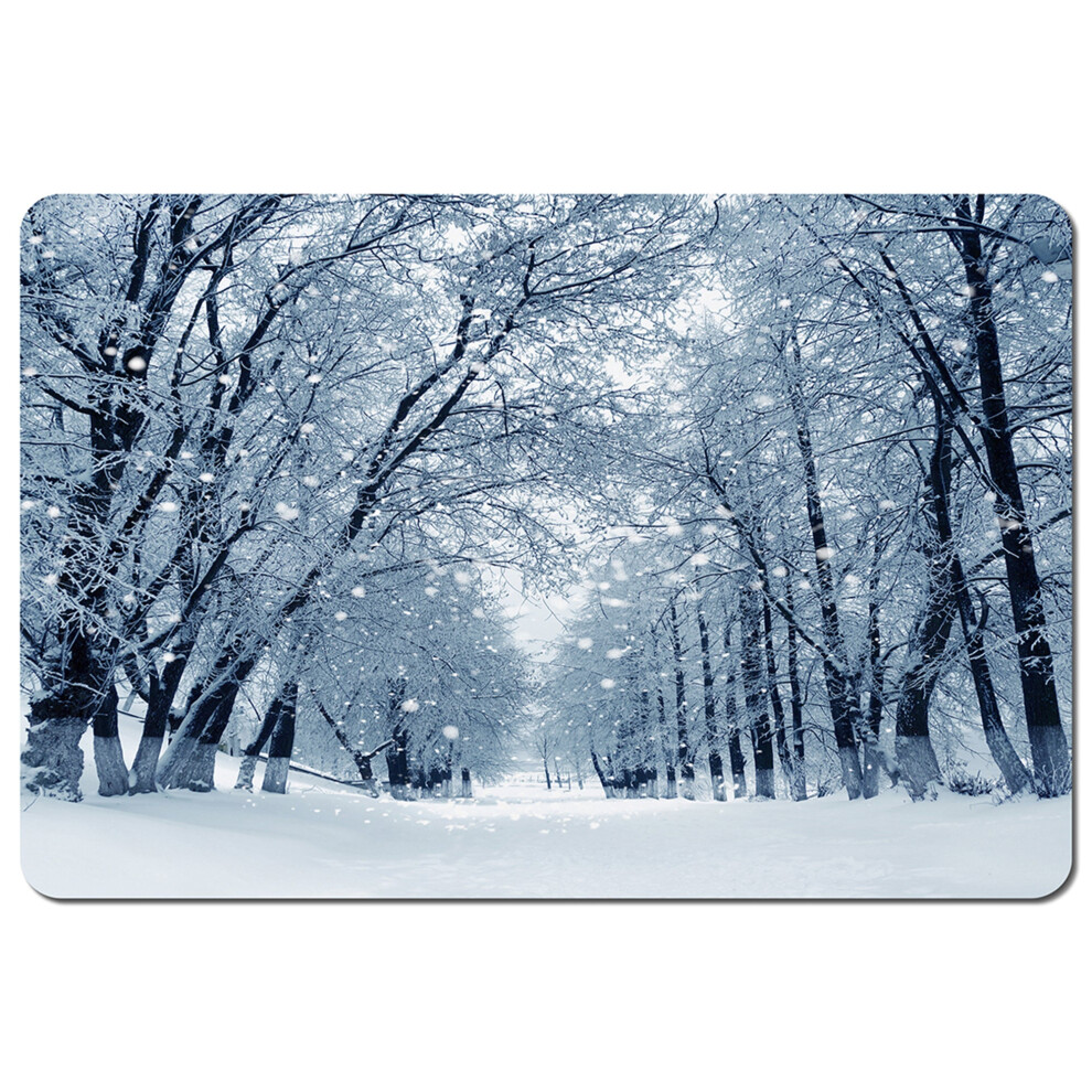 snowstorm in park placemat-image-OPC-PHHYSQF-NEW