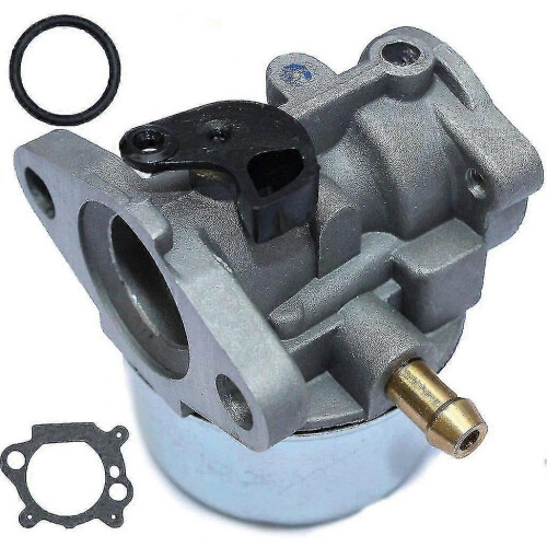 Carburatore Briggs & Stratton 799868