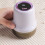Kleidung, Pullover, Ballenentferner, Schaber, Blindbox 6