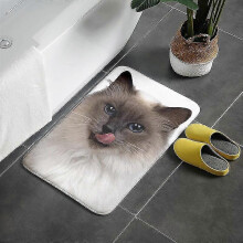 Bedroom Carpet Bedside Carpet Anti-slip Game Mat Floor Mat Living Room Mat Bathroom Mat