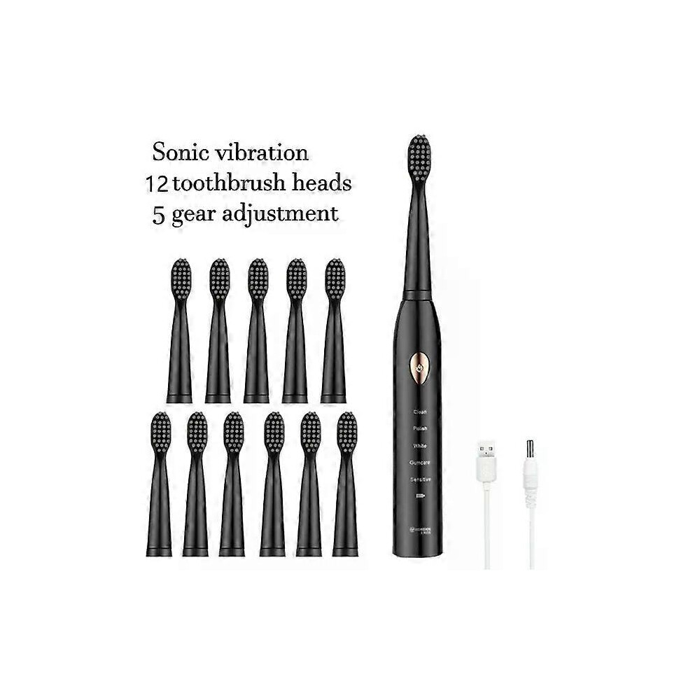 Kikidex Blue (12 Head One Size) Sonic Electric Toothbrush For Adults Ipx7 Waterproof Dupont Brush Head Usb Rechargeable High Frequency Cleaning 5 Cleaning Mo