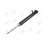 232-02-234 Schokdemper voor BMW X5 E70 4