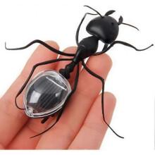 Solar Powered Educational Toy for Kids - Comfortable and practical educational toy.