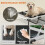 PawHut (L) PawHut Portable Elevated Dog Bed with Removable Canopy 6