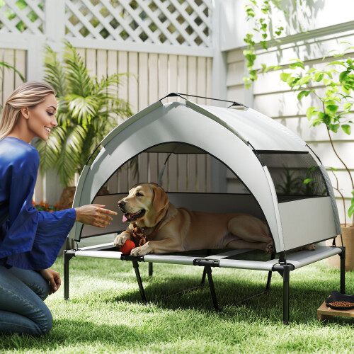 PawHut (L) PawHut Portable Elevated Dog Bed with Removable Canopy
