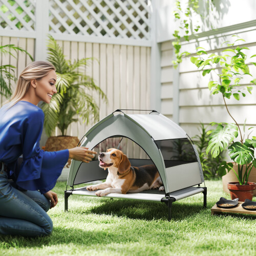 PawHut (S) PawHut Portable Elevated Dog Bed with Removable Canopy