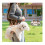 (S, Black) Breathable Multi-Function Pet Carrier Backpack - Adjustable Shoulder Sling 5