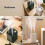 Portable Cordless Plant Humidifier 800ml,cool Mist Humidifiers 5