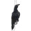 Realistic Hanging Dead Crow Decoy Lifesize Extra Large Black Feathered Crow 1