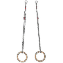 Professional Gym Rings for 120 Kg Gymnastics Fitness Training