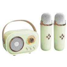 (Double Microphone, Green) Portable Karaoke Singing Speaker Bluetooth-Compatible Karaoke Machine for Friend Family Party