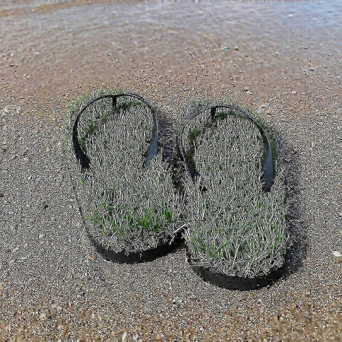 (EU44-EU45, white) Grass Flip Flop 1