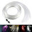 End Glow Fiber Optic Light 1