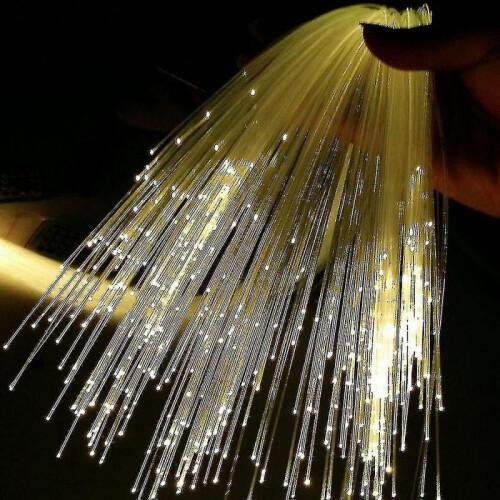 End Glow Fiber Optic Light 1