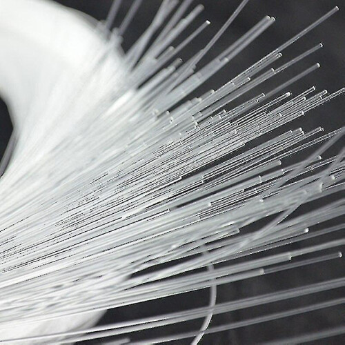 End Glow Fiber Optic Light 2