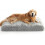 dog bed for large dogs 1