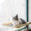 Window Mounted Pet Bed Suction Cup Hanging Sunshine Hammock Perch Cushion for Cat 3