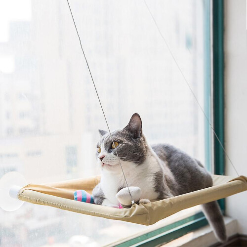 Window Mounted Pet Bed Suction Cup Hanging Sunshine Hammock Perch Cushion for Cat 2