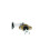QG-001 Hoofdcilinder, koppeling 2