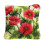 (As show, One size) Red Flower Latch Hook Pillow Making Kit for Beginners Latch Hooking Crafts 2