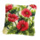 (As show, One size) Red Flower Latch Hook Pillow Making Kit for Beginners Latch Hooking Crafts 3