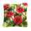 (As show, One size) Red Flower Latch Hook Pillow Making Kit for Beginners Latch Hooking Crafts 1