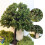 (18cm)HO/OO Scale Miniatures Fruit Trees Landscape Farm Plants Railway Scenery ModelKE 4