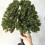 (18cm)HO/OO Scale Miniatures Fruit Trees Landscape Farm Plants Railway Scenery ModelKE 5