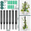 6-Pack Moss Stick for Monstera - Indoor Plants Coconut Moss Pole 2