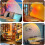 Sunset Lamp Projector, Sunset Light with 16 Colors Changing Projector LED Lights 2
