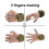 2025 Latest Model Hand Grip Strength Trainer 20lb Resistant Soft Silicone Hand... 2