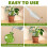 2025 Latest Model 4pcs Self Watering Flower Globes Decorative Automatic Plants... 4