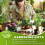 2025 Latest Model 4pcs Self Watering Flower Globes Decorative Automatic Plants... 3