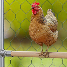 (As show, One size) 4-Pack Chicken Perches Set - Durable Chicken Coop Accessories, Strong Roosting Bars for Coop & Brooder