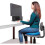 Disc O' Sit Back Strengthener -Disc'O'Sit Balance Cushion 3