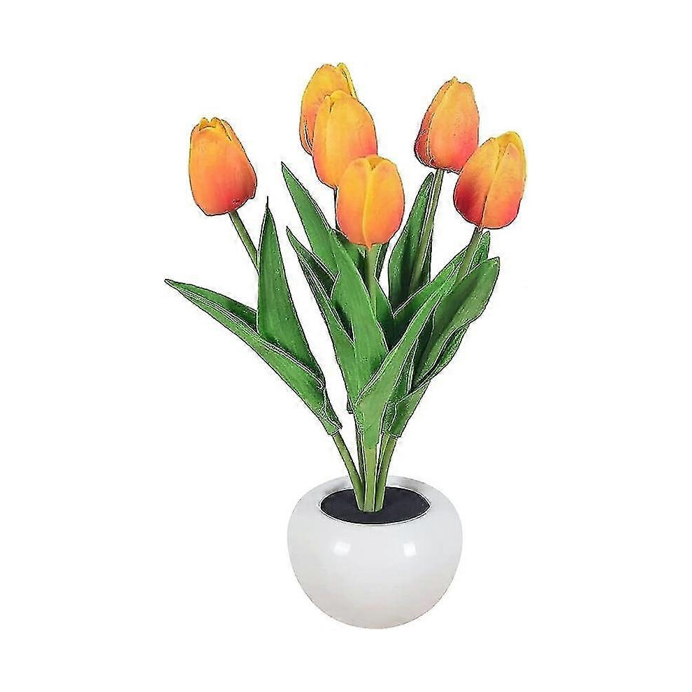 (White, One size) Tulip Table Lamp with Ceramic Vase Simulation Tulip LED Desk Lamp with Battery, Table Lamp Ornaments for Home Living Room Wedding, G-image-OPC-PHJKGYR-NEW