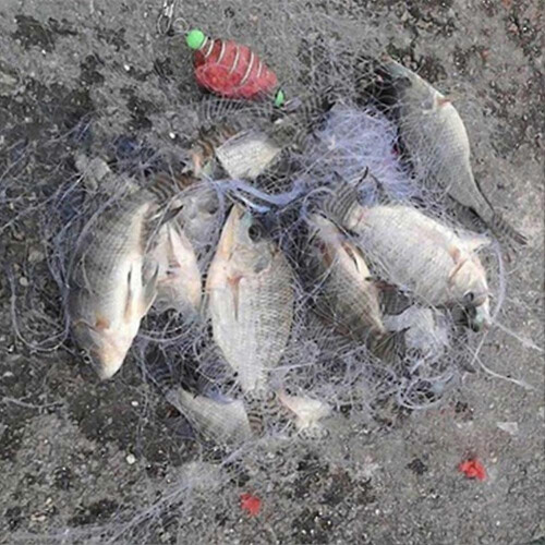 (3, One size) Fishing Net Design Copper Spring Shoal Tackle 1