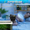 (As show, One size) Aquarium Fish Feeder, Multifunctional Adjustable Automatic Fish Feeder 5