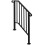 Matte Black Outdoor 2-Step Iron Handrail 3