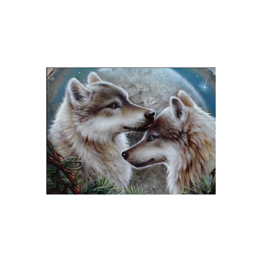 30x40cm 5D Volledige Diy Diamond Painting Sneeuwwolf Vangst Dreamnet Woondecoratie Diamond Painting