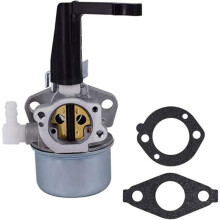 Carburateur voor 696065 697422 110402 110412 215369 Stuurhuis Vervangende Carburateur
