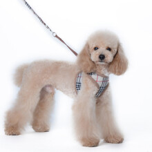 Beige - Set imbracatura e guinzaglio per cani Set imbracatura e guinzaglio per cani con clip anteriore