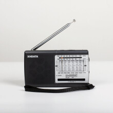 (Grigio) D-219 FM Radio portatile AM SW 1-9 a 11 bande Radio tascabile ad alta sensibilità a onde corte